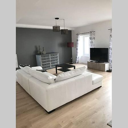 Annonay Centre, Grand Appartement Cosy, 3 Chambres エクステリア 写真
