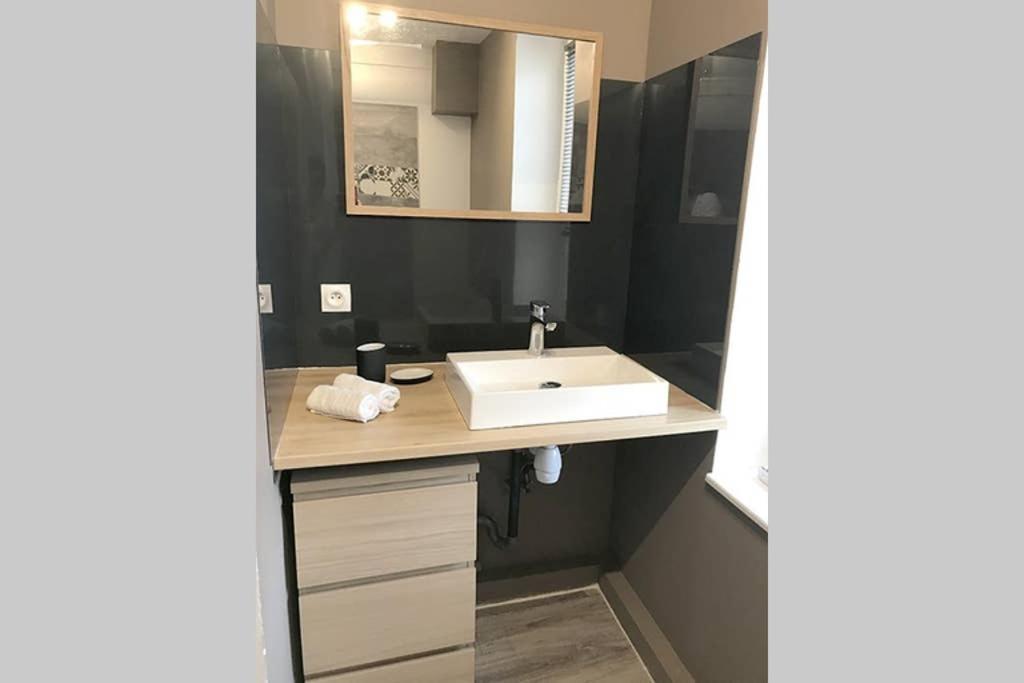 Annonay Centre, Grand Appartement Cosy, 3 Chambres エクステリア 写真